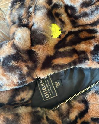 Pellicciotto guess