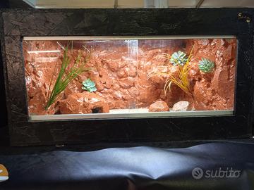 terrario per rettili 