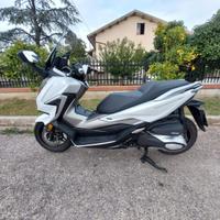 Honda Forza 350 - 2021 - ON THE ROAD ATESSA