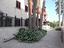 Immagine 7