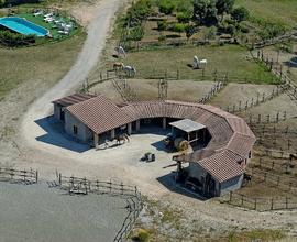 Azienda Turistica con maneggio Siena