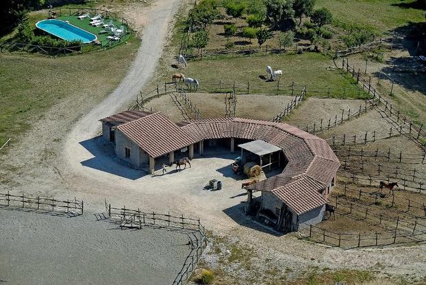 Azienda Turistica con maneggio Siena