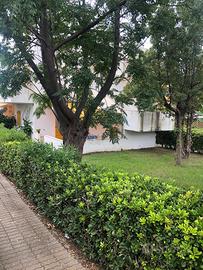 VILLAGGIO TUCANO (KR) LUGLIO e PRIMA sett. AGOSTO