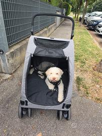 passeggino cane
