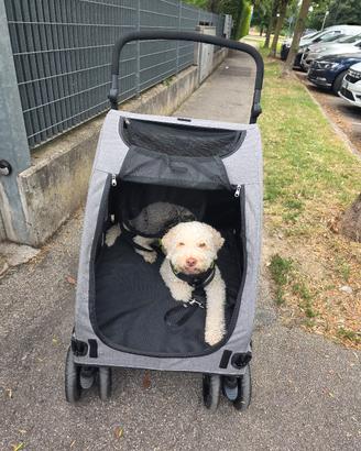 passeggino cane