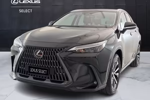 LEXUS NX II 2022 - NX 350h 2.5 Business 4wd 244cv