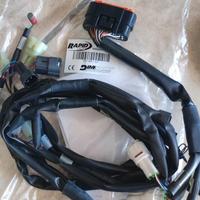 Cablaggio Rapid Bike Racing e EVO