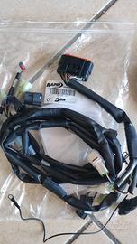 Cablaggio Rapid Bike Racing e EVO