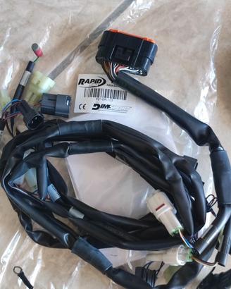Cablaggio Rapid Bike Racing e EVO