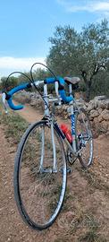 Atala campione del mondo