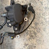 Pinza freno honda sh 125 150 300 350