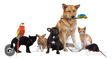 Pet sitter per i tuoi animali