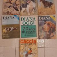 7 riviste Diana anno 1977