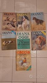 7 riviste Diana anno 1977