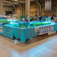 Pesci, lumache e piante questo weekend