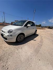 500 ibrida