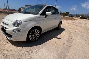 500 ibrida