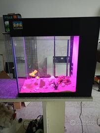 acquario 