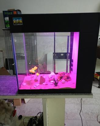 acquario 