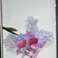 calendario pirelli 2004