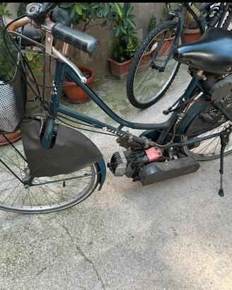 Bicicletta a motore