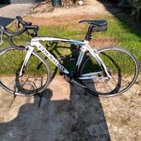 Bici da corsa colnago in carbonio