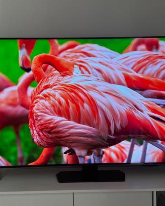 Samsung Neo QLED QN90C 55” 4K Mini LED 144Hz