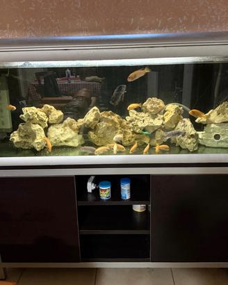 Acquario Ferplast