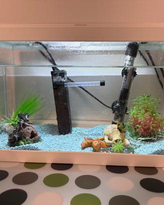 🐠 Acquario completo circa 20 litri – Kit accessor