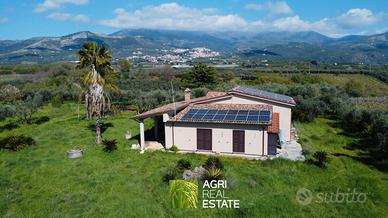 Casa 110 mq con uliveto