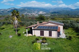 Casa 110 mq con uliveto