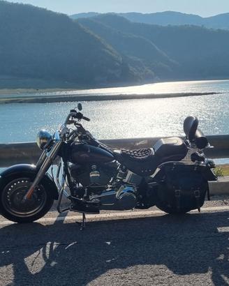 HARLEY DAVIDSON FAT BOY 1584