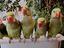 Immagine 2
