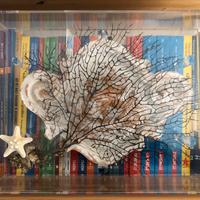 Composizione con corallo vero naturale marino