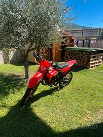 Beta RR 50 2022