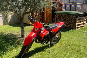 Beta RR 50 2022