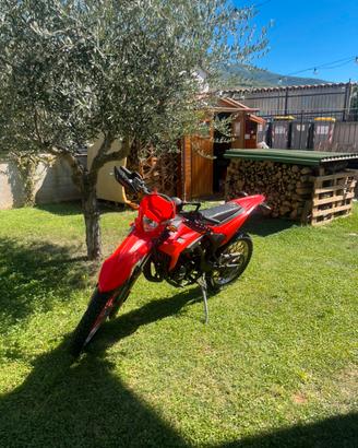 Beta RR 50 2022