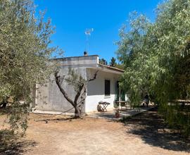 Casa di campagna tra gli ulivi / Ecotekne