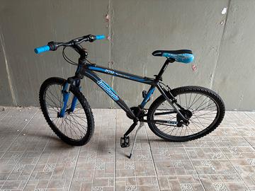 Lombardo Mountain Bike "Sestriere 270"
