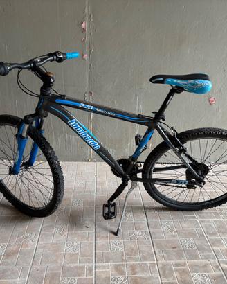 Lombardo Mountain Bike "Sestriere 270"