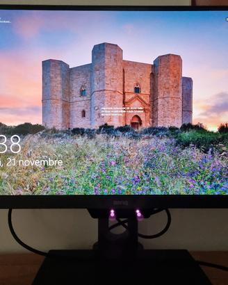 Monitor BenQ  PD2500Q