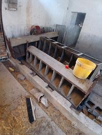 mangiatoia per suinetti