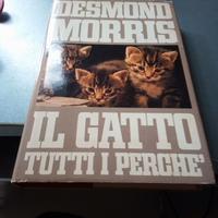 Gatto tutti perché morris