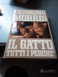 Gatto tutti perché morris