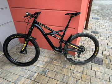 Specialized Enduro