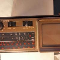 Tv  e radio portatile
