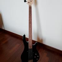 Basso elettrico principiante