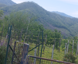 Terreno edificabile 1800mq,zona calvanico(sa)