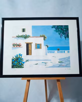 STUPENDO QUADRO SERIGRAFIA 