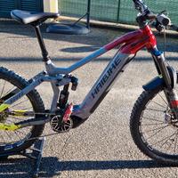 e bike